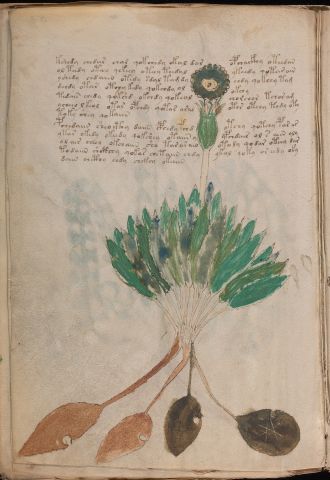 f94v